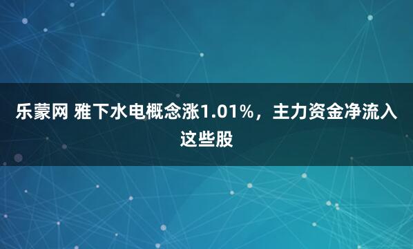 乐蒙网 雅下水电概念涨1.01%，主力资金净流入这些股