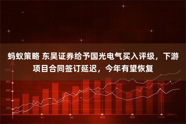 蚂蚁策略 东吴证券给予国光电气买入评级，下游项目合同签订延迟，今年有望恢复