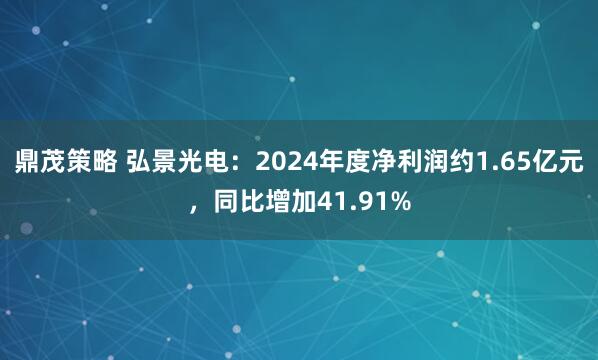 鼎茂策略 弘景光电：2024年度净利润约1.65亿元，同比增加41.91%