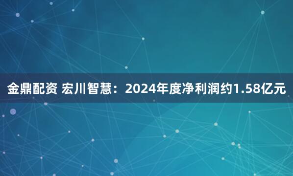 金鼎配资 宏川智慧：2024年度净利润约1.58亿元